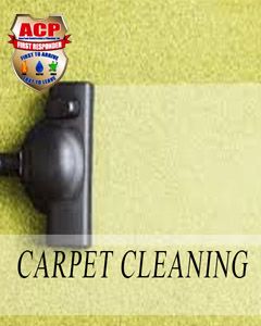 Carpet Cleaning Service $100